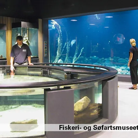Xxix Fanø